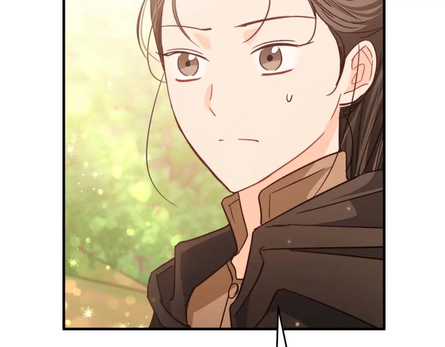 《钻石小姐历险记》第57话 松树树精 第135页