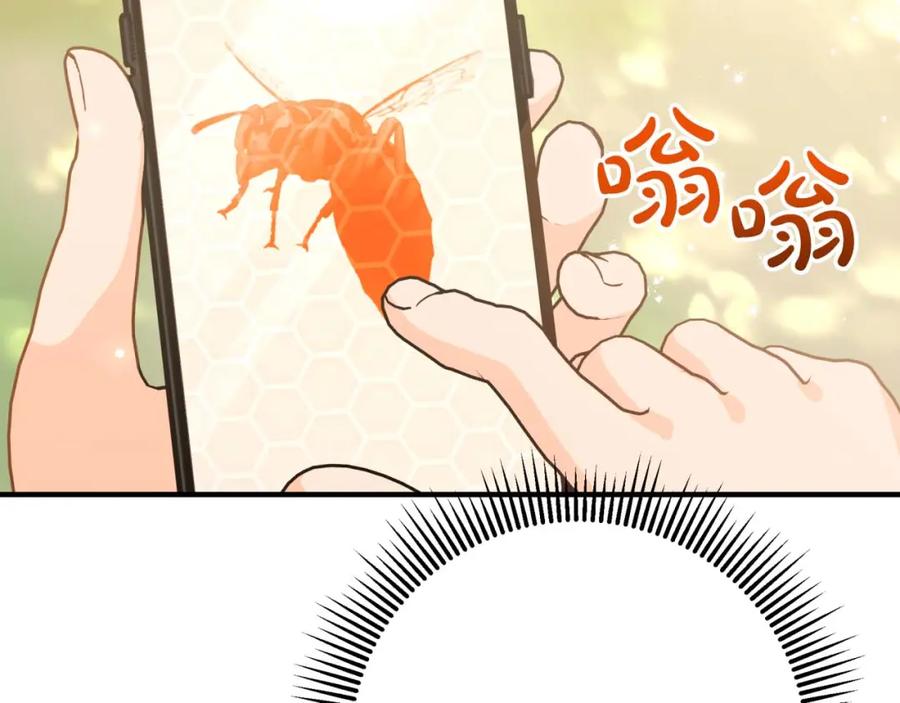 《钻石小姐历险记》第57话 松树树精 第195页