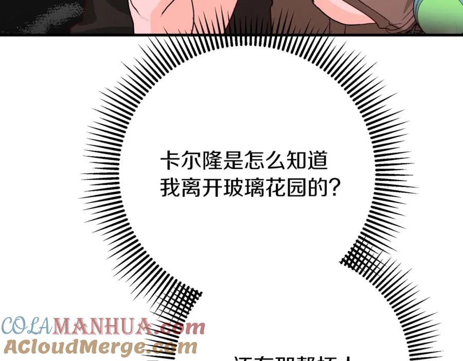《钻石小姐历险记》第57话 松树树精 第201页