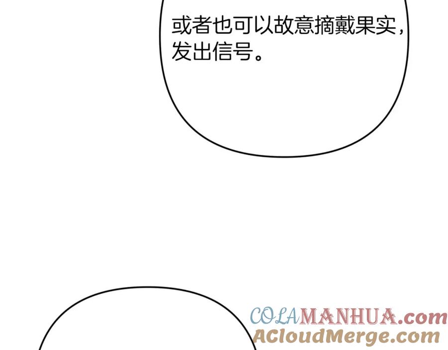 《钻石小姐历险记》第57话 松树树精 第173页