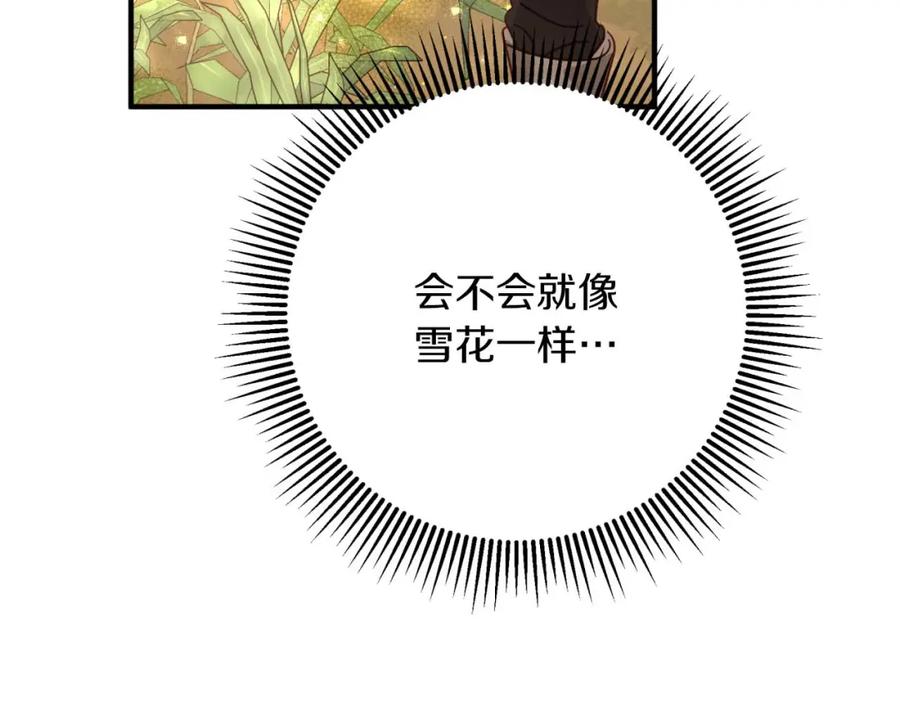 《钻石小姐历险记》第58话 风信子树精 第206页