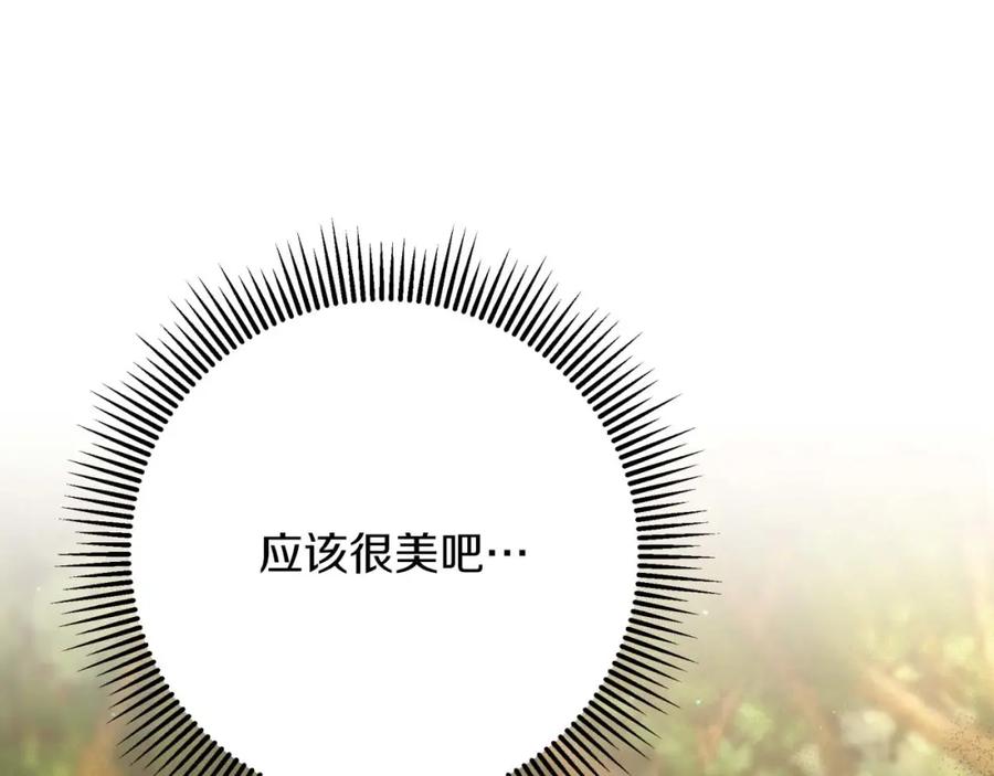 《钻石小姐历险记》第58话 风信子树精 第207页