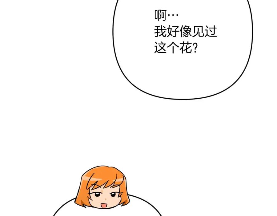 《钻石小姐历险记》第58话 风信子树精 第140页