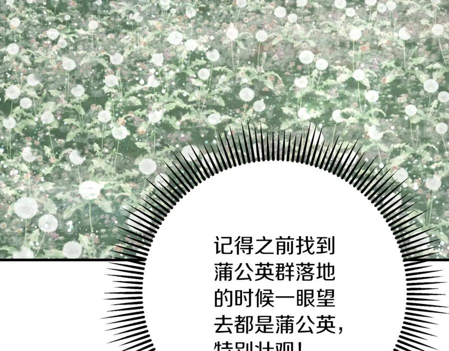 《钻石小姐历险记》第58话 风信子树精 第202页