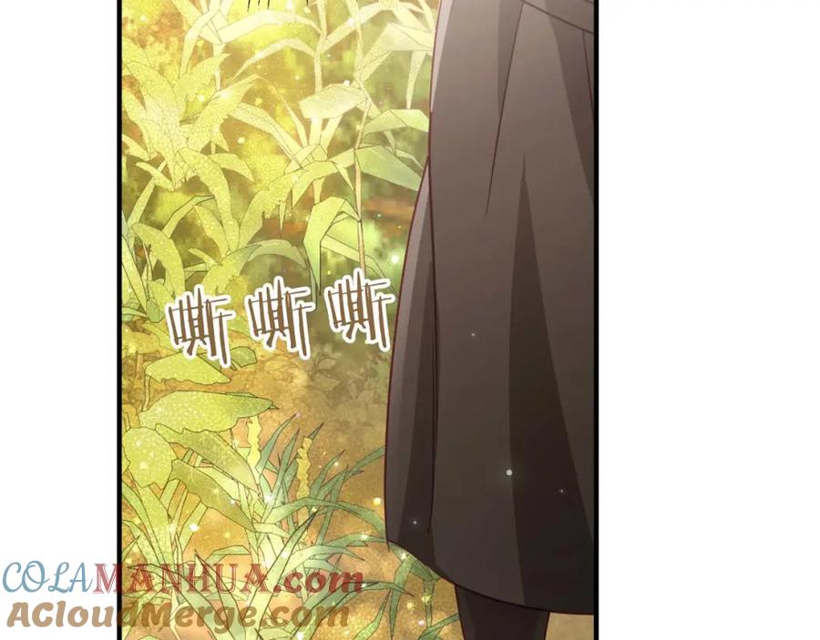 《钻石小姐历险记》第58话 风信子树精 第205页
