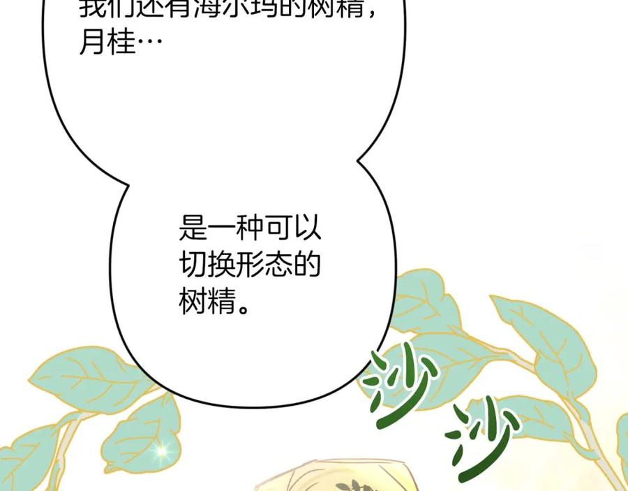 《钻石小姐历险记》第58话 风信子树精 第162页
