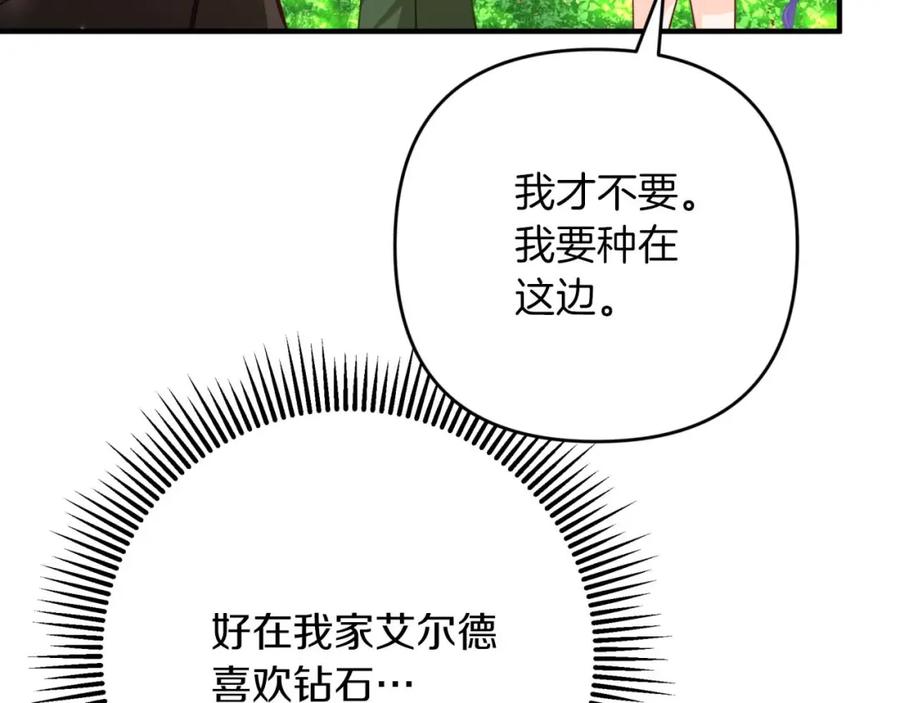 《钻石小姐历险记》第58话 风信子树精 第160页