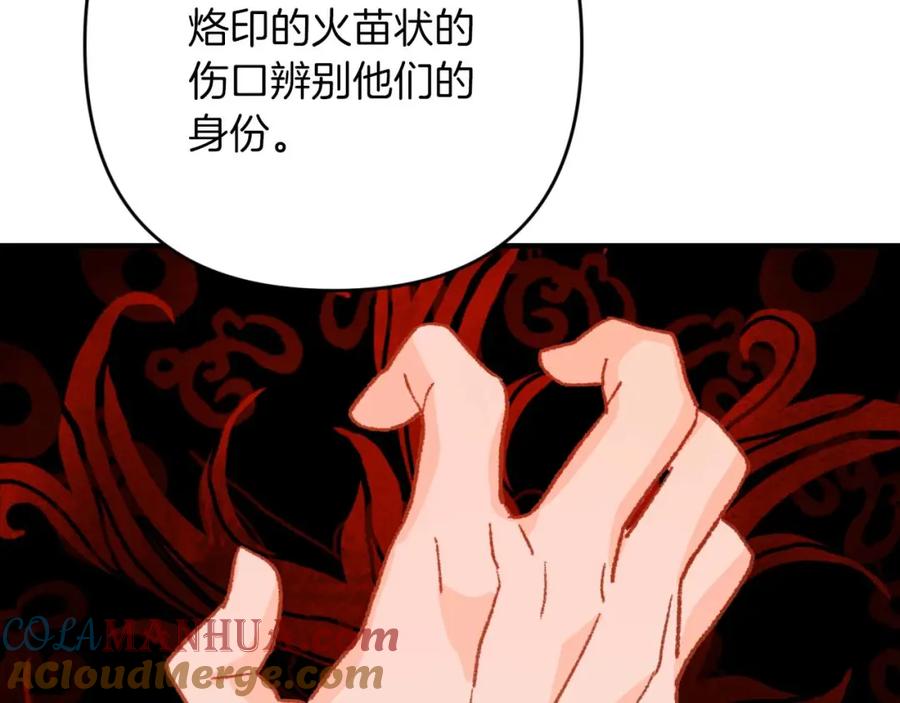 《钻石小姐历险记》第58话 风信子树精 第17页
