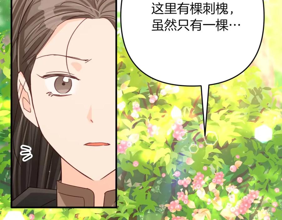 《钻石小姐历险记》第58话 风信子树精 第27页