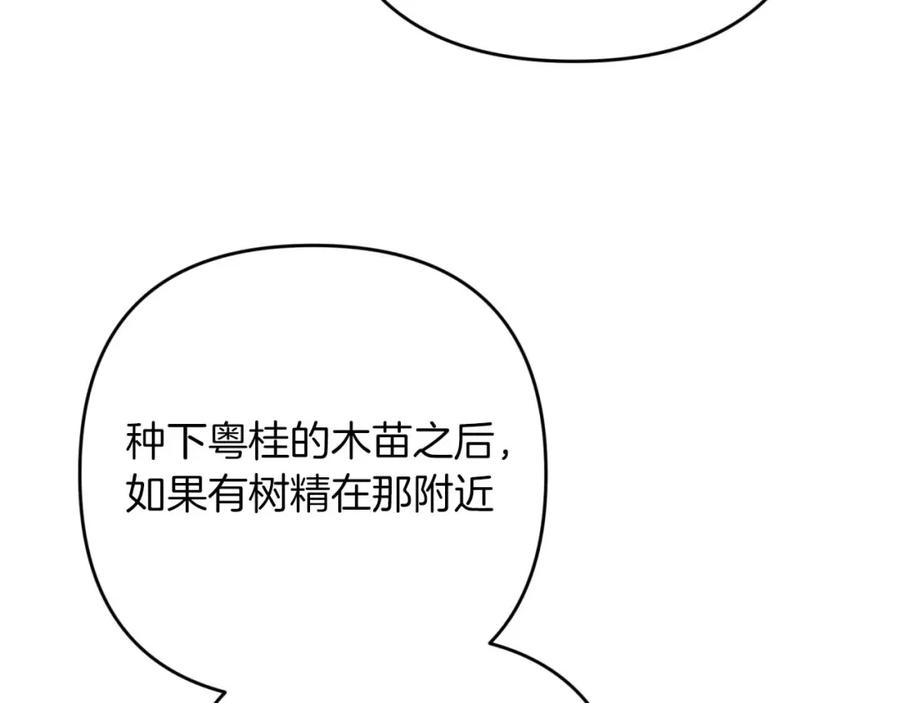 《钻石小姐历险记》第58话 风信子树精 第168页