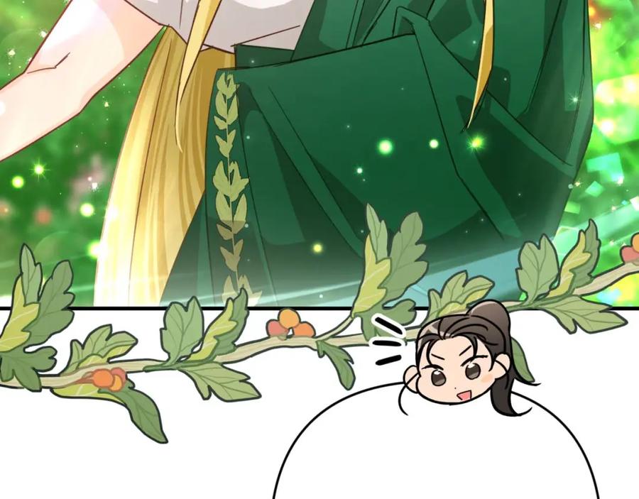 《钻石小姐历险记》第58话 风信子树精 第164页
