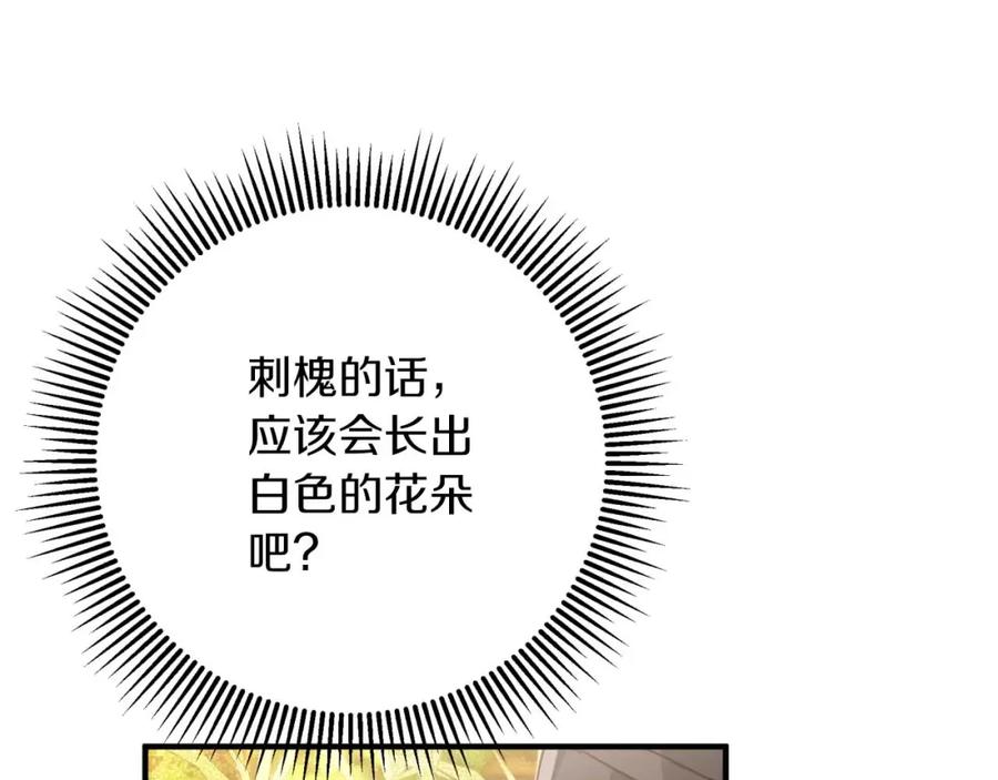 《钻石小姐历险记》第58话 风信子树精 第204页