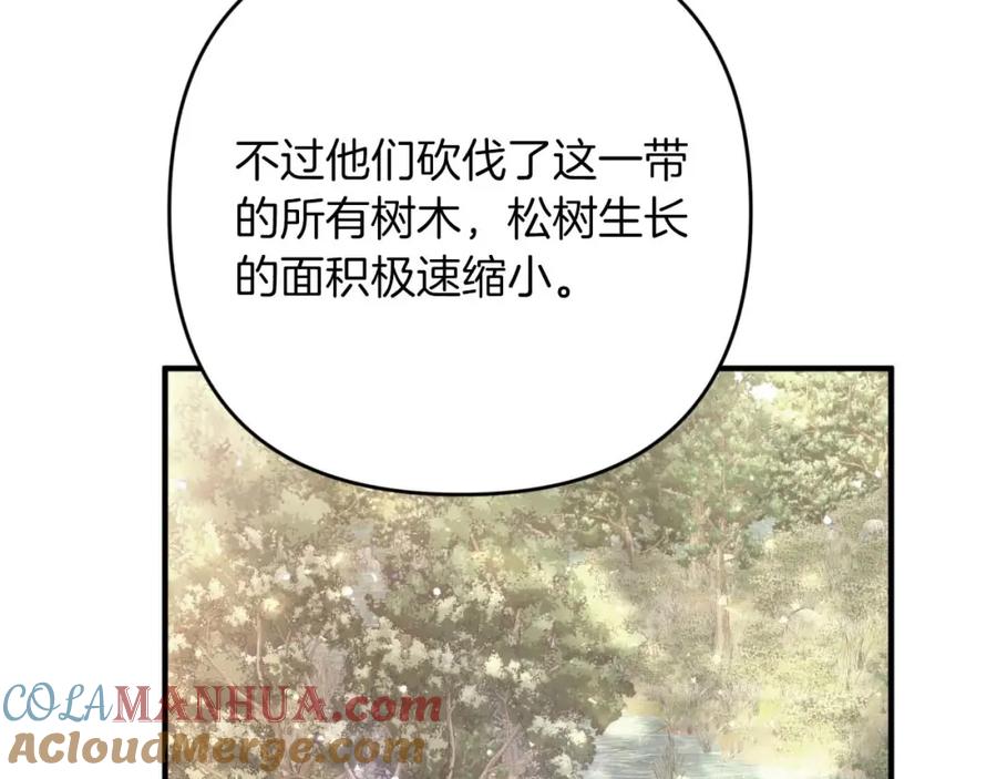 《钻石小姐历险记》第58话 风信子树精 第185页