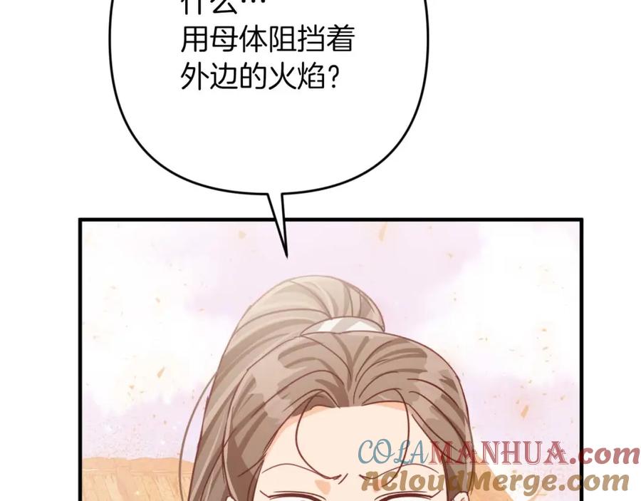 《钻石小姐历险记》第59话 稻草人和刺槐树 第141页