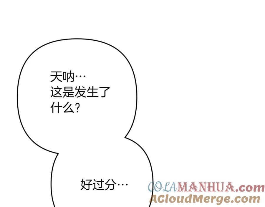 《钻石小姐历险记》第59话 稻草人和刺槐树 第17页