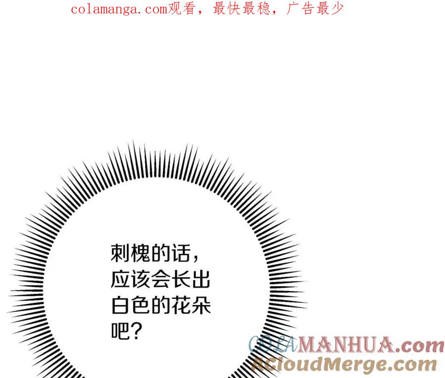 《钻石小姐历险记》第59话 稻草人和刺槐树 第1页