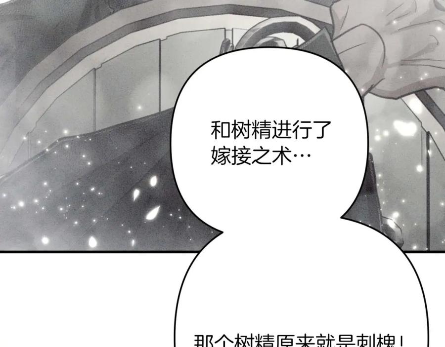 《钻石小姐历险记》第59话 稻草人和刺槐树 第100页