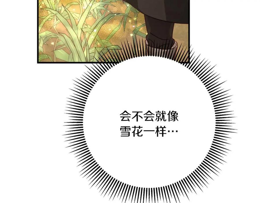 《钻石小姐历险记》第59话 稻草人和刺槐树 第3页