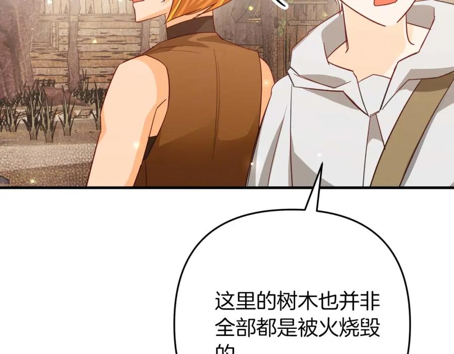 《钻石小姐历险记》第59话 稻草人和刺槐树 第31页