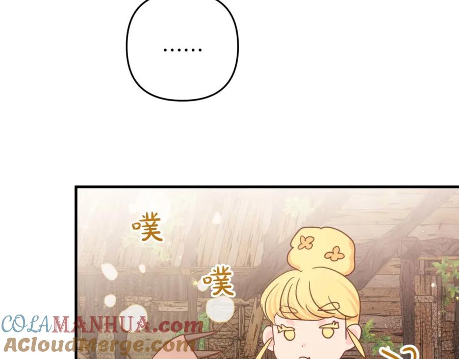 《钻石小姐历险记》第59话 稻草人和刺槐树 第113页
