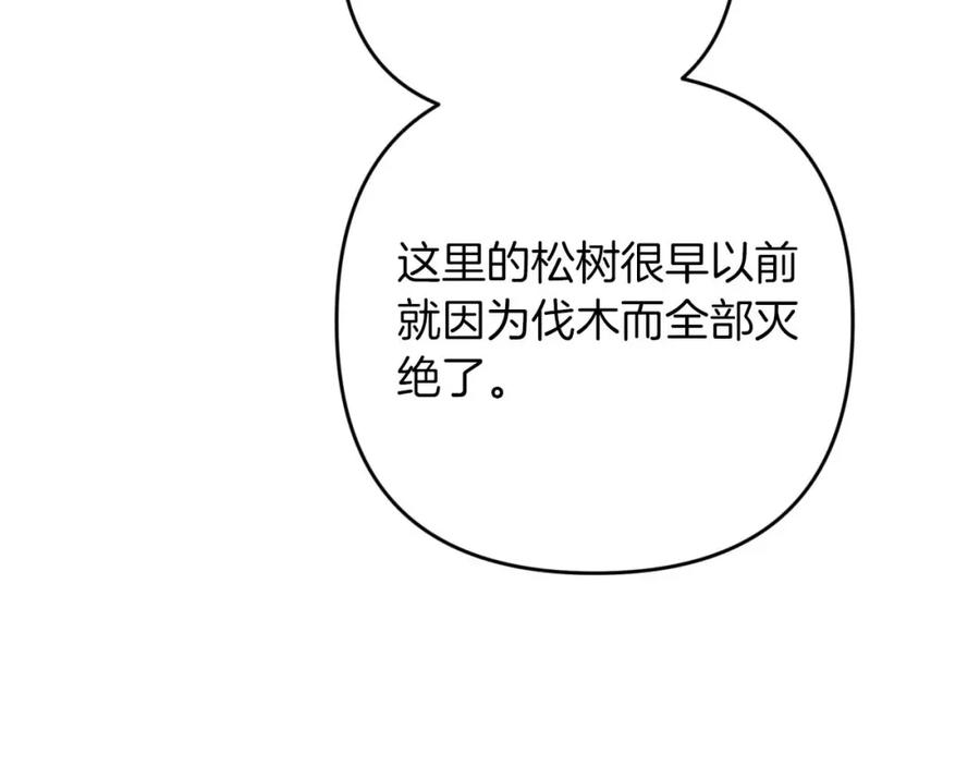 《钻石小姐历险记》第59话 稻草人和刺槐树 第22页