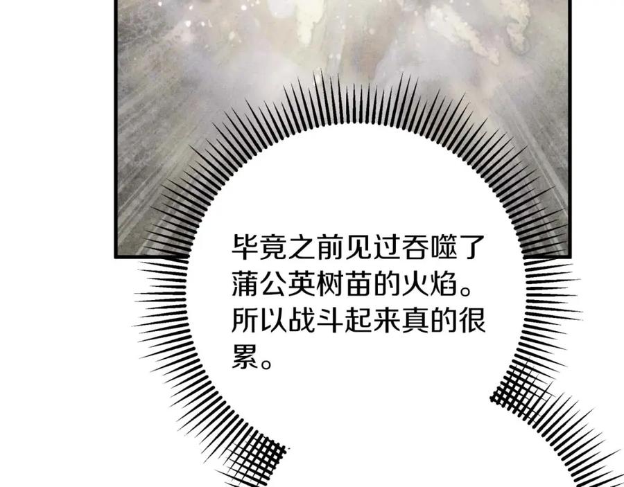 《钻石小姐历险记》第59话 稻草人和刺槐树 第164页