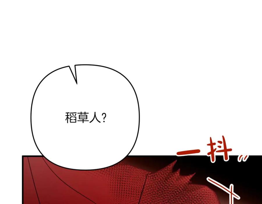 《钻石小姐历险记》第59话 稻草人和刺槐树 第206页