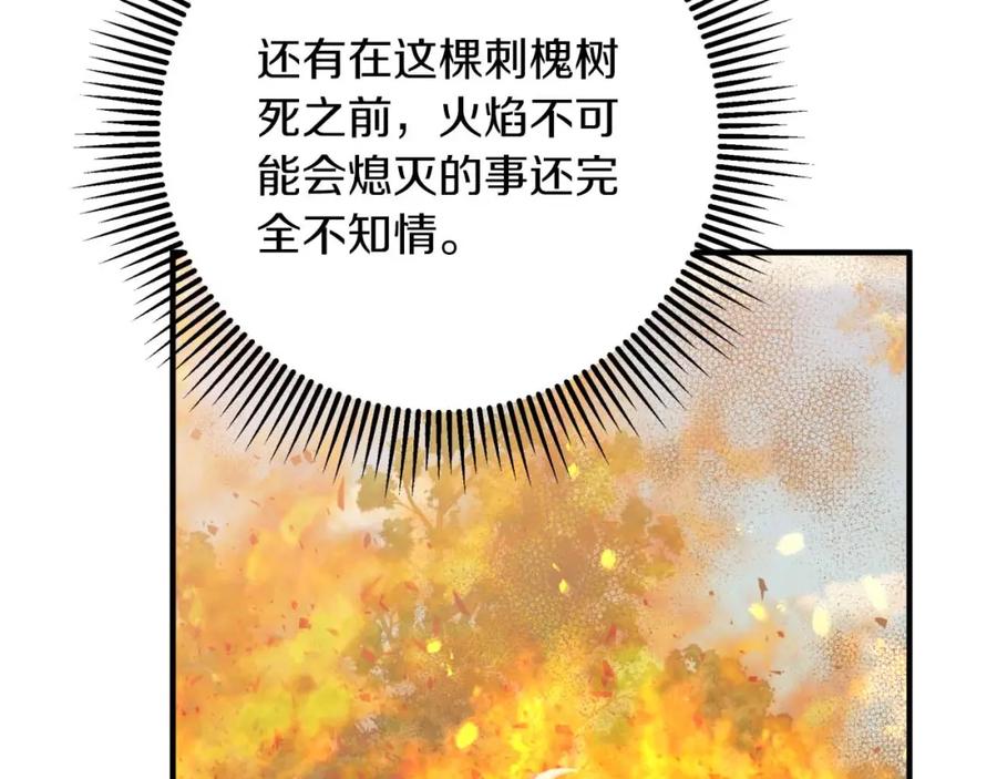 《钻石小姐历险记》第59话 稻草人和刺槐树 第215页