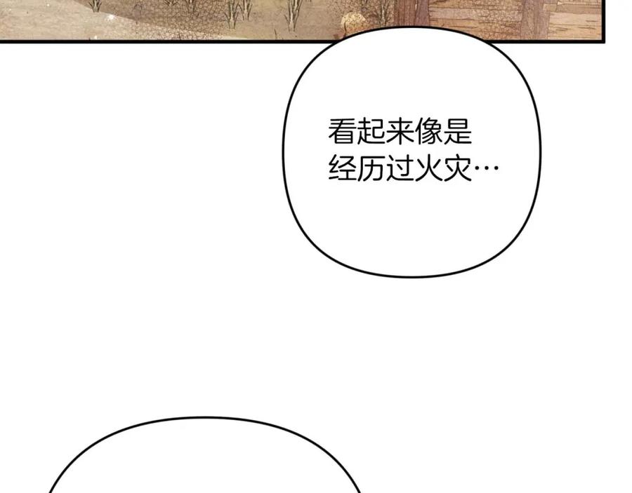《钻石小姐历险记》第59话 稻草人和刺槐树 第19页