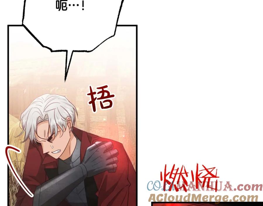 《钻石小姐历险记》第59话 稻草人和刺槐树 第105页