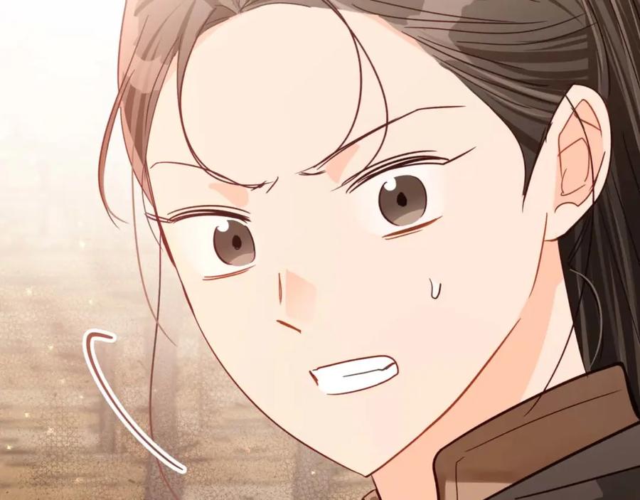 《钻石小姐历险记》第59话 稻草人和刺槐树 第219页