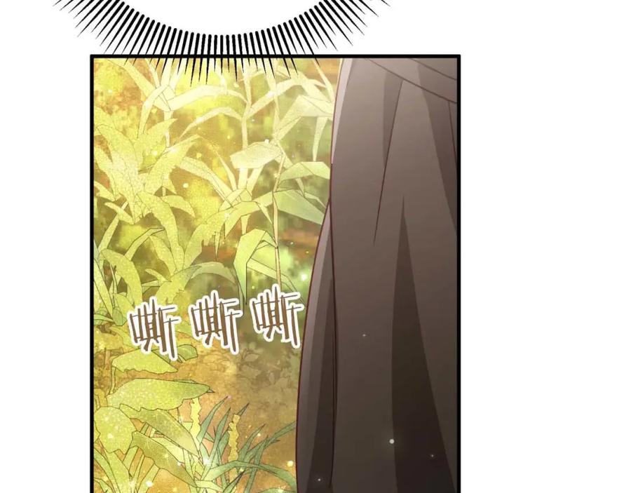 《钻石小姐历险记》第59话 稻草人和刺槐树 第2页