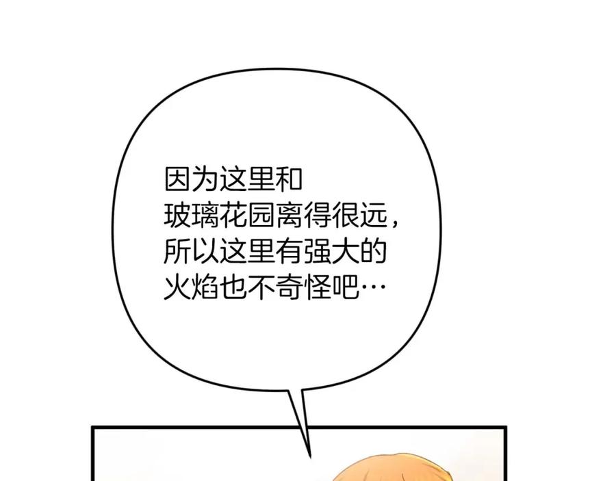 《钻石小姐历险记》第59话 稻草人和刺槐树 第42页