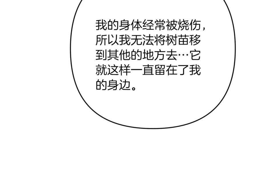 《钻石小姐历险记》第60话 无法忘记那孩子 第198页