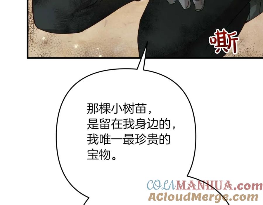 《钻石小姐历险记》第60话 无法忘记那孩子 第197页
