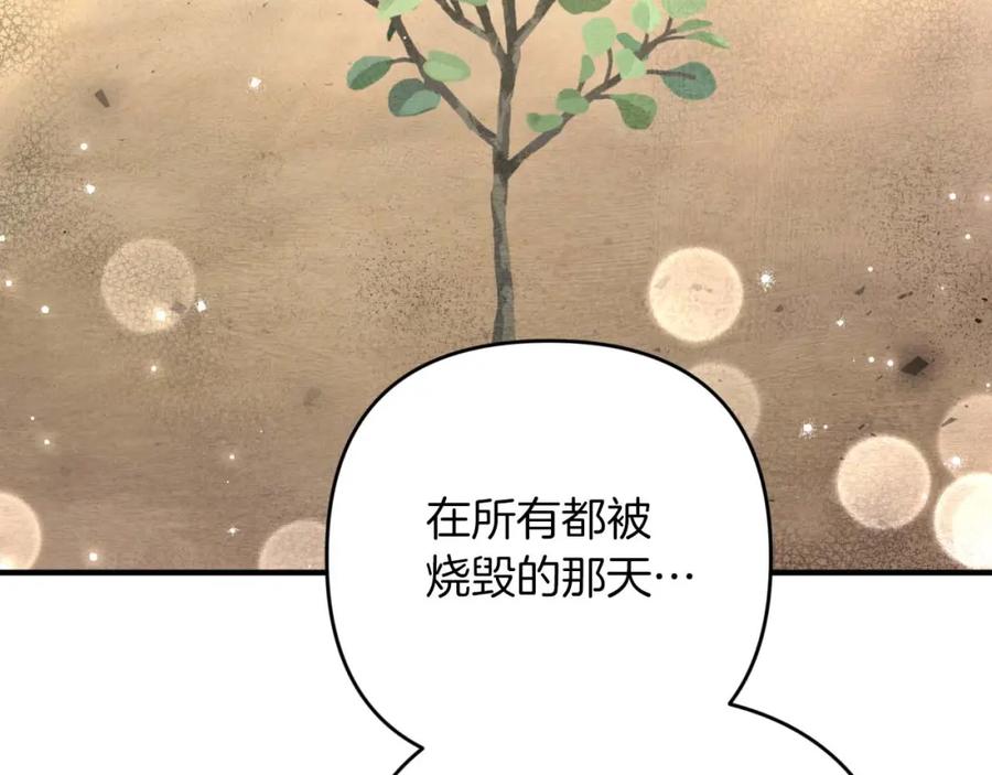《钻石小姐历险记》第60话 无法忘记那孩子 第191页