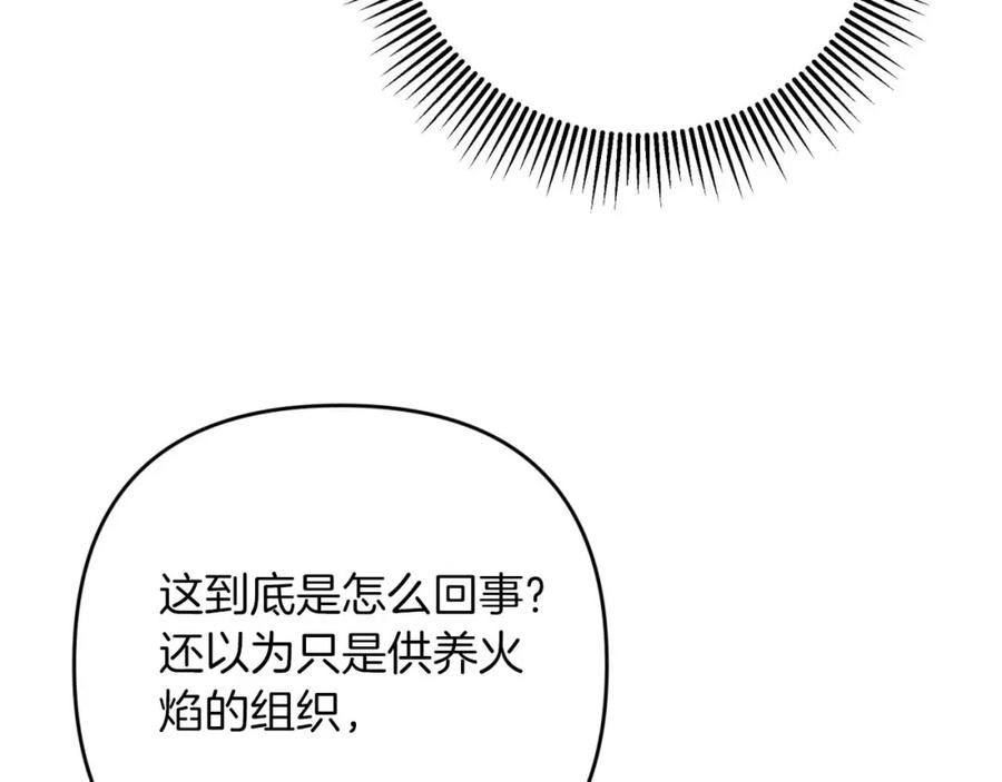 《钻石小姐历险记》第62话 毒草之王 第151页