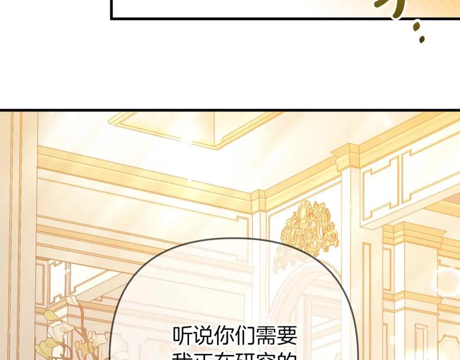 《钻石小姐历险记》第63话 公会名字是盖亚（Gaia） 第224页