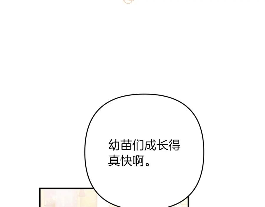 《钻石小姐历险记》第64话 树精的力量 第183页