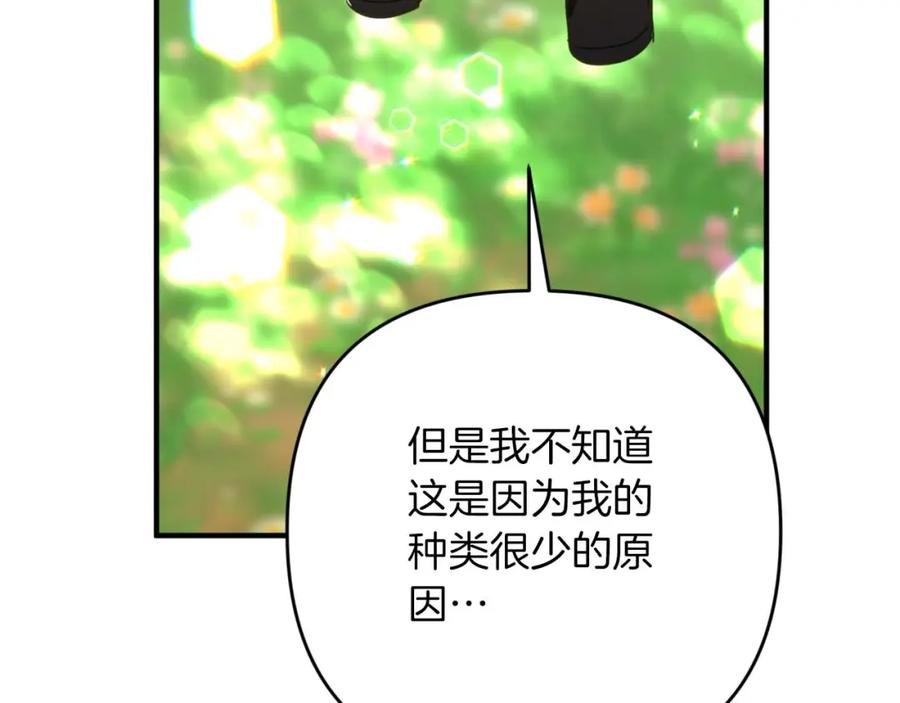 《钻石小姐历险记》第64话 树精的力量 第171页