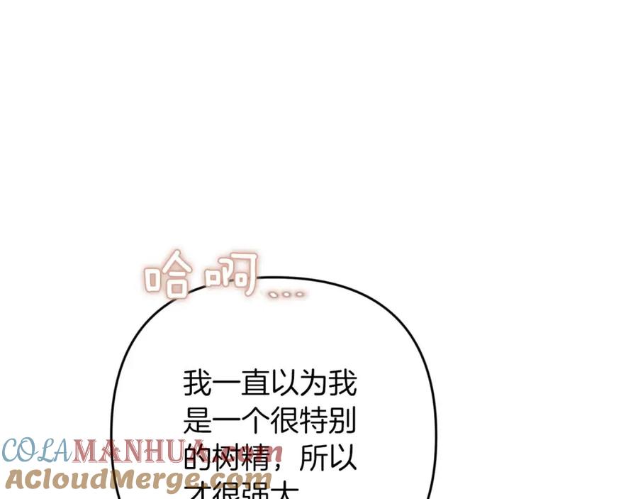 《钻石小姐历险记》第64话 树精的力量 第169页