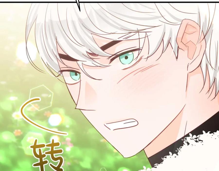 《钻石小姐历险记》第64话 树精的力量 第167页