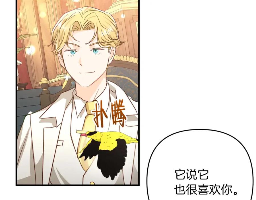 《钻石小姐历险记》第65话 怎么都是奇葩？ 第171页