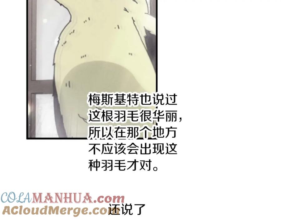 《钻石小姐历险记》第67话 作为交换，让我保护你 第245页