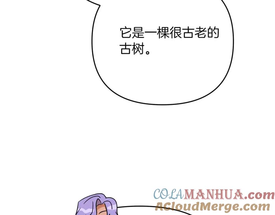 《钻石小姐历险记》第67话 作为交换，让我保护你 第121页