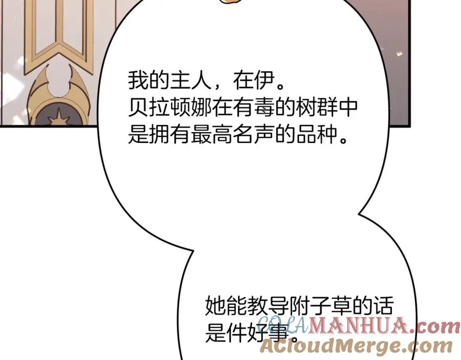 《钻石小姐历险记》第67话 作为交换，让我保护你 第233页