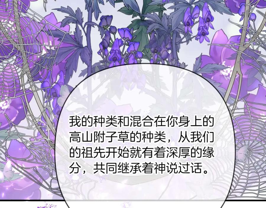 《钻石小姐历险记》第67话 作为交换，让我保护你 第226页