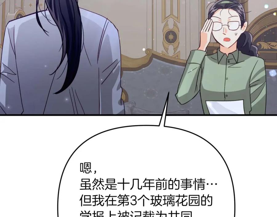 《钻石小姐历险记》第68话 第28个玻璃花园的助理 第208页