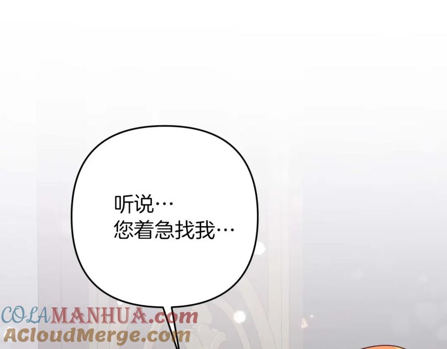 《钻石小姐历险记》第68话 第28个玻璃花园的助理 第181页