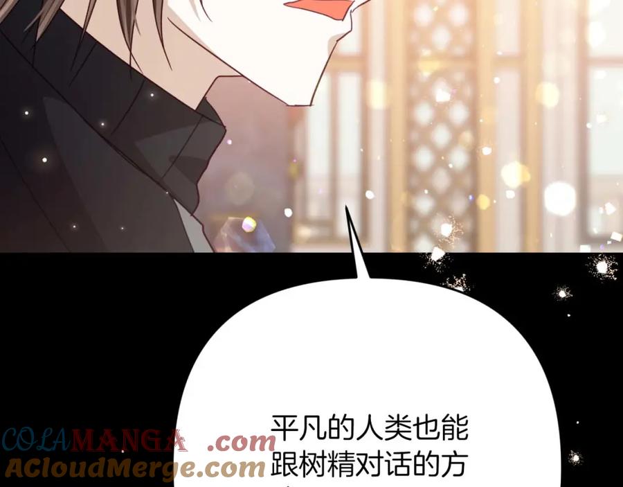 《钻石小姐历险记》第69话 平凡的人类也想和树精对话 第149页